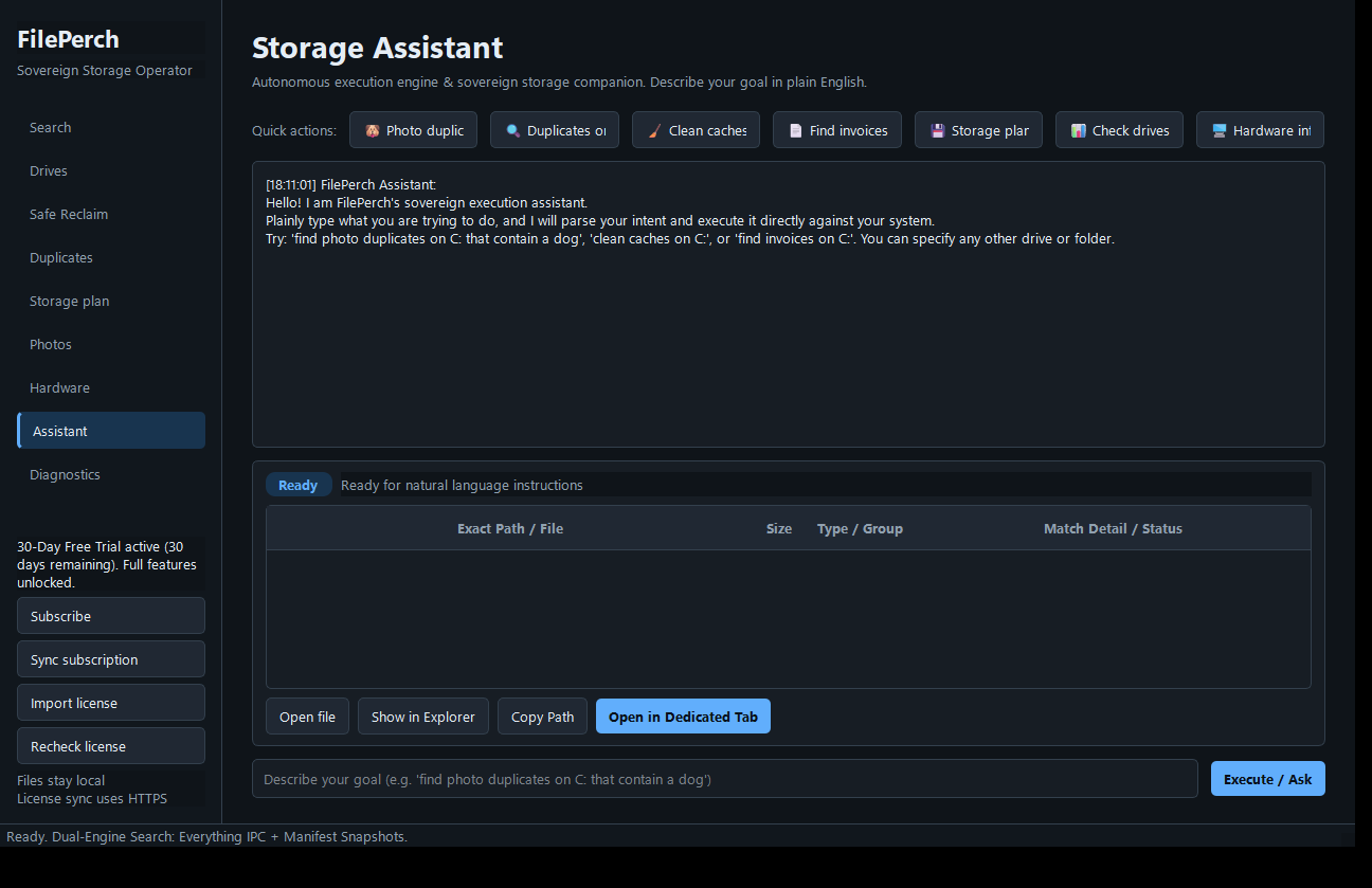 FilePerch 0.13.1.0 Storage Assistant home with quick actions, Ready status, and the Execute / Ask button.